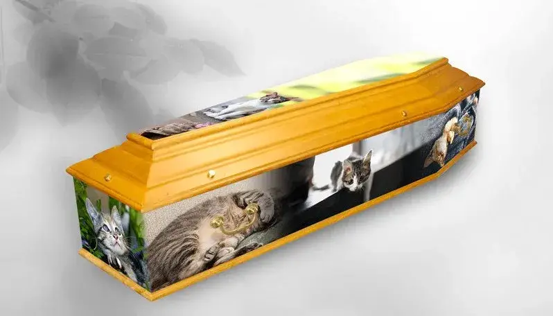 cercueil-chat